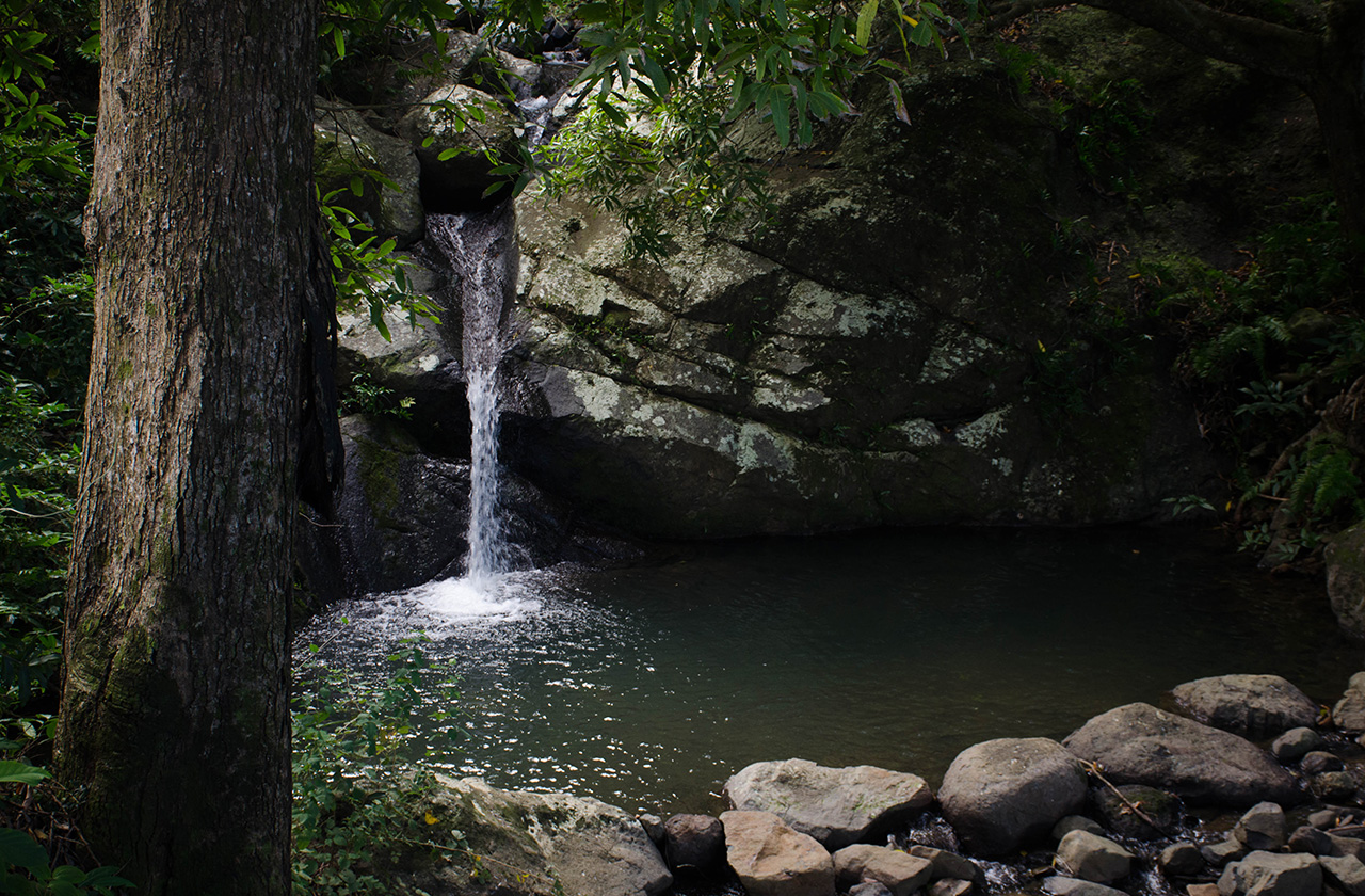 Piscine Naturelle Ile Maurice