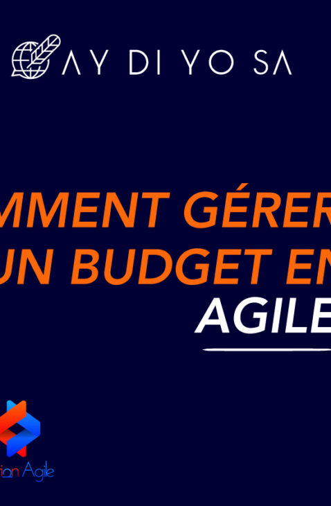 HORS SÉRIE: Budget et agilite