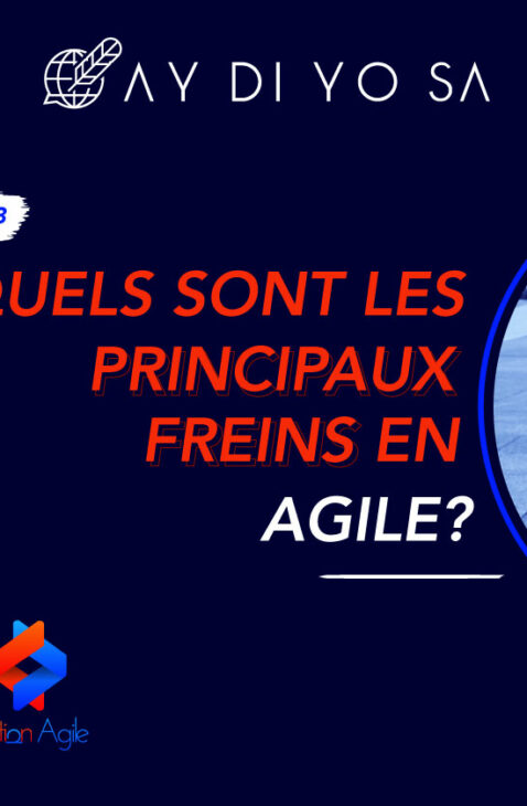 Hors Série N°3 : Quels sont les principaux de l'agilité? aydiyosa