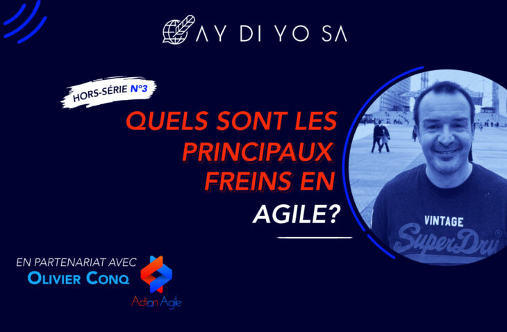 Hors Série N°3 : Quels sont les principaux de l'agilité? aydiyosa